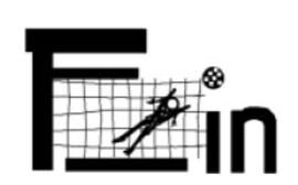 Logo F_in Frauen im Fußball