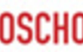 Logo Euroschools 2008